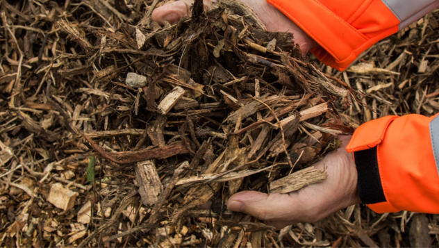 Biogrondstoffen bij bericht ophef Ede boomstammen